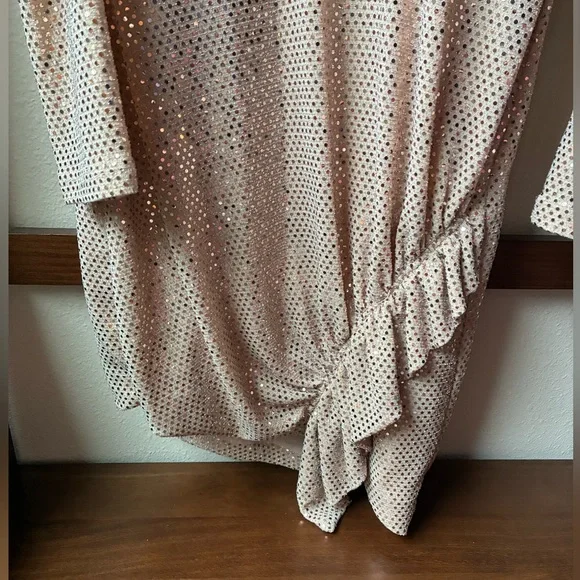 NWT IRO LouLou Sequin Dress in Blush Pink (Size:38/6) - Picture 8 of 15
